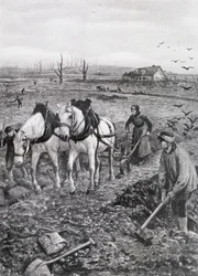 Campesinos trabajando en campos arruinados, 1918